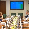 Ирек Ялалов принял участие в совещании по проекту федерального закона «О государственном контроле (надзоре) и муниципальном контроле в Российской Федерации».