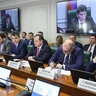 Тему развития Приморского края рассмотрел Комитет СФ по экономической политике