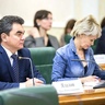 Ирек Ялалов принял участие в парламентских слушаниях на тему «Развитие системы ОСАГО: индивидуализация тарифа».