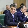 Ирек Ялалов выступил на расширенном заседании Комитета СФ по экономической политике